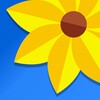 MXPlayer播放器 